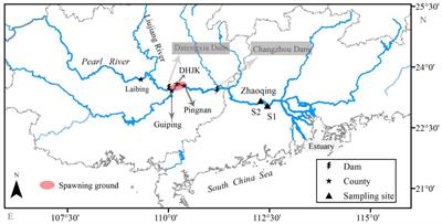 Elevated Temperatures Shorten the Spawning Period of Silver Carp (Hypophthalmichthys molitrix) in a Large Subtropical River in China